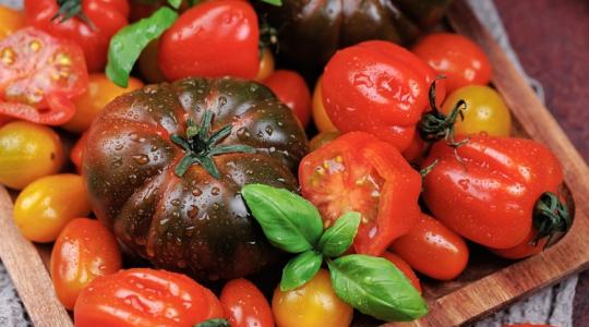 Ki ne hagyd! Ültess ingyen paradicsomot júliusban!