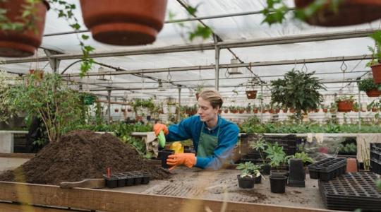 Diákmunka 2025: tízezrek dolgoznak év közben is, egyre jobb fizetésért