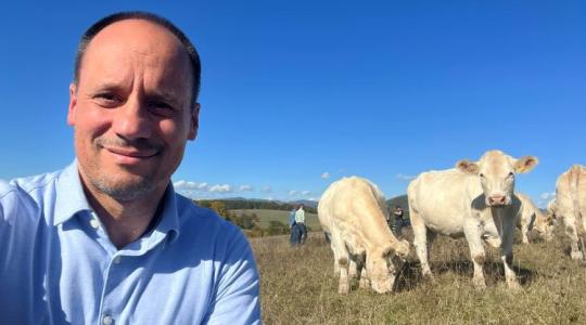 Akadozik a kártérítés, a félelem pedig gúzsba köti az állattartókat