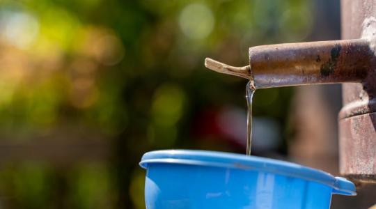 Így készül egy aranyérmes párlat – a titok a részletekben