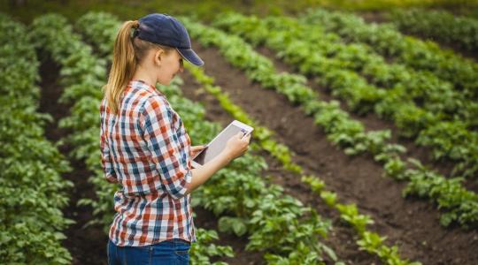 Munka a nyári szünetben: újabb rekordokat dönt a diákmunka-program