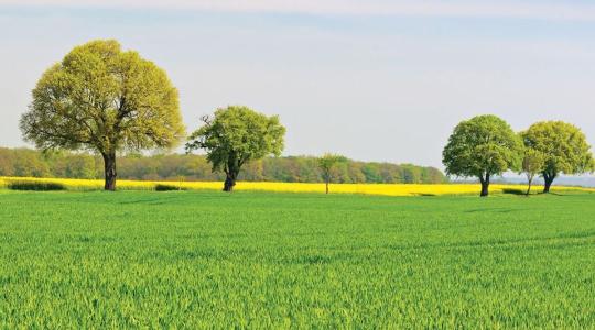 Ez lehet a titok a jó termés mögött – Te már ismered?