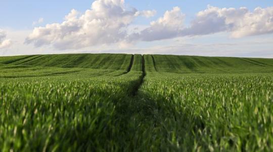 Ti is így látjátok? Megújulhat az agrárium? Optimista jövőkép az AgriBusiness Global-ban