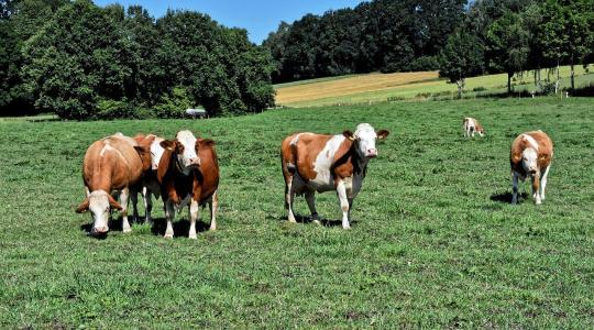 Európai járványhullám fenyeget: Magyarország megelőző üzemmódba kapcsol