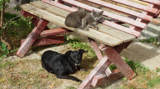 Lehet, hogy téged is érint: 500 millió forintos pályázat indult