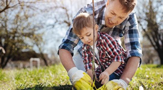 Gyümölcsfát ültetsz? Bőséges termést szeretnél? Akkor erre mindenképp figyelj oda!