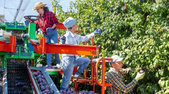 Munkavédelem az agráriumban: nem luxus, hanem kötelesség
