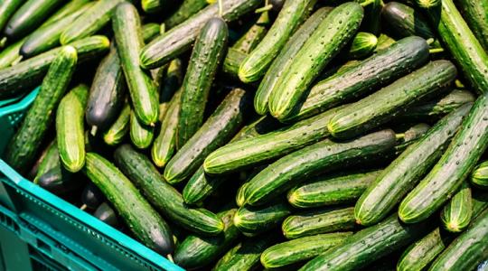 Áradat Afrikából: így szorítja ki Marokkó az európai termelőket