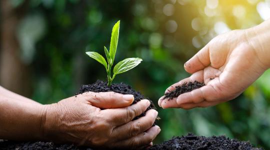 30. Tiszántúli Növényvédelmi Fórum