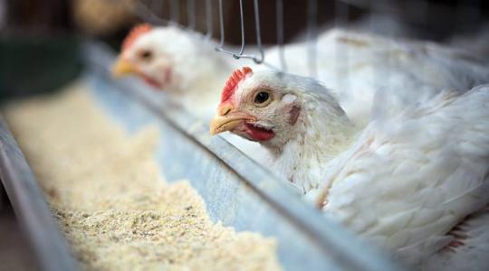 Változások az ÁTK pályázatban! Érdemes odafigyelni!