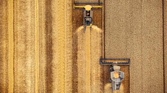 Magyar gazdák is bajban: minden fok számít!