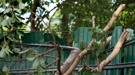 Húsz éve nem történt ilyen: rekordkifizetések jöhetnek a biztosítóknál