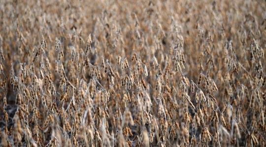 SZÓJA Roadshow 2025 – Bak