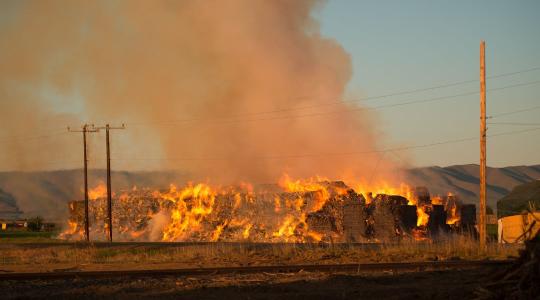 Tarlótűz pusztít Hódmezővásárhely mellett – bálák és kaptárok is veszélyben