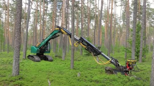 Mit csinál ez az óriási kotrógép az erdő közepén? +VIDEÓ