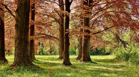 Így pályázhatsz akár 1 milliárd forintra: augusztusban is nyitva a lehetőség