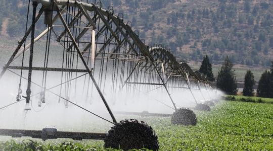 Hatályba lépett a rendelet, teljesen átalakul a termelői csoportok rendszere
