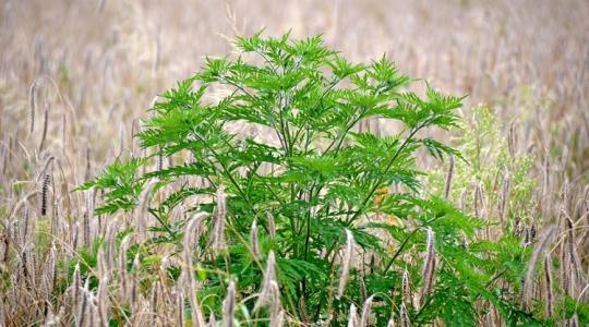 Földtulajdonosok! Így kerülhetitek el a több százezres bírságot!