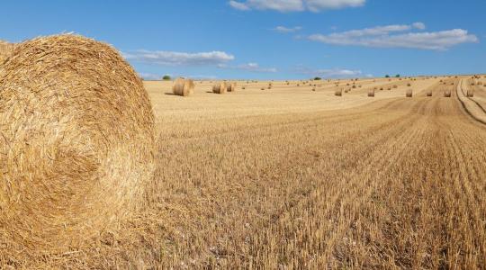 Ne hibázz! Csak így fogadják el a melléktermék bedolgozását az AKG-ban