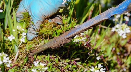 Helyetted kapál ez a robot