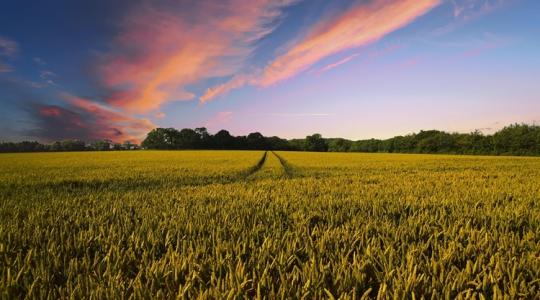 Időjárás: Így vonulnak át a felhők felettünk +VIDEÓ