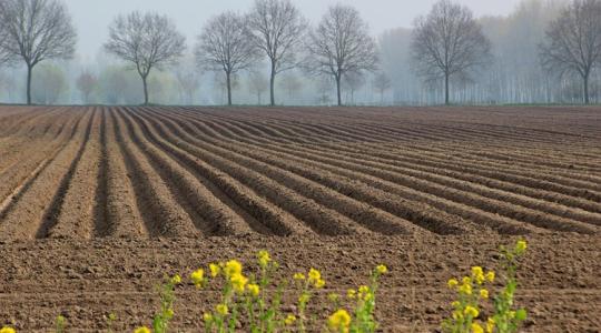 Öröklés és földhasználati ranghelyek: mit visznek tovább az örökösök?