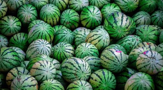 Ki látott már ilyet! A dinnyét is lopják...