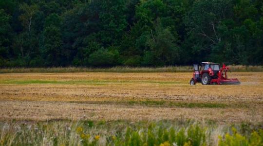 Ekkor jön a lehűlés a kánikula után!