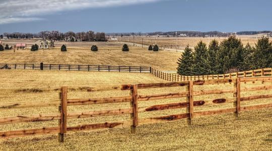 Leesik az állad: ilyen árak repkedtek az állami földárverésen