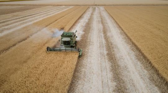 Repcetermesztés új szinten: kimagasló DEKALB-eredmények 2025-ben