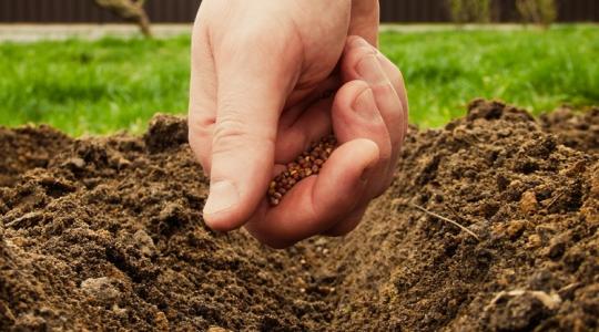 Ne vesd el a vetést szeptemberben sem!