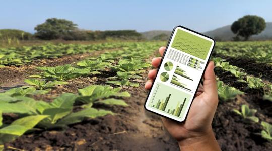 Egy alkalmazás, amely összekötötte a gazdákat egymással és a piaccal