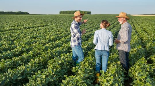 Milliók járnak most egy ilyen döntés mellé