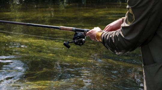 Halat akartak, tavat eresztettek le – eljárás indult öt horgász ellen