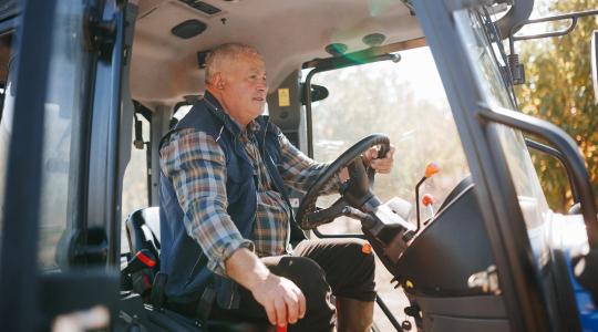 Idén nem a fiatalok, hanem az idősek vitték a prímet a földeken