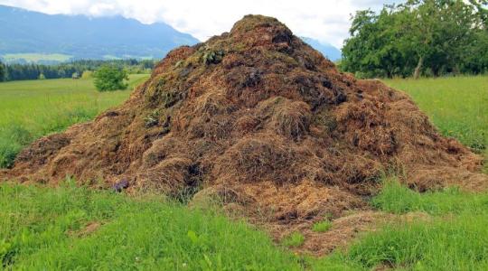 Őszi trágyázás: így készítsd fel a talajt a bőséges tavaszi terméshez!