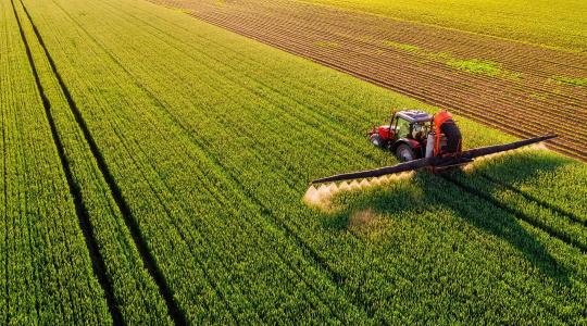 Fenntarthatóság a gyakorlatban – mit tanulhatunk a spanyoloktól?