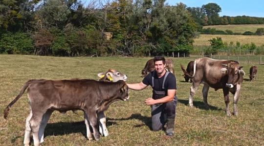 Almásházáról jön a prémium tej – borzderesek adják az A2-est