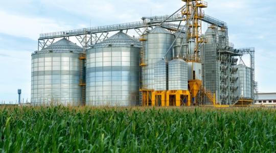 Ennek örülni fognak a repce- és napraforgó-termesztők