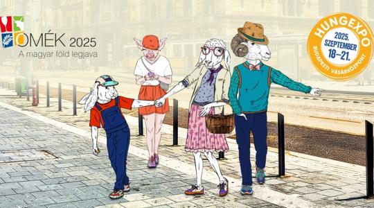 Agrárdigitalizáció 2025: erre a tudásra lesz szükségük a magyar gazdáknak