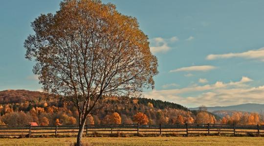 Új rekord: extrém értékeket mutatott a hőmérő