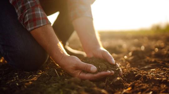Talajmegújítás és precíziós gazdálkodás: nem ellentétek, hanem szövetségesek + VIDEÓ
