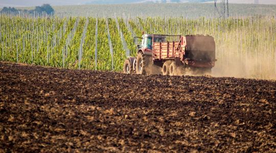 Nem mindegy, mivel trágyázzuk a növényeinket