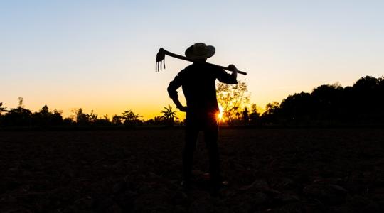 Mostantól könnyebb: így úszható meg az áfa ebben a speciális helyzetben