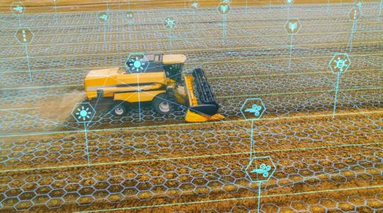 Az adat az új arany – ezért kritikus pont az adatbiztonság a mezőgazdaságban is