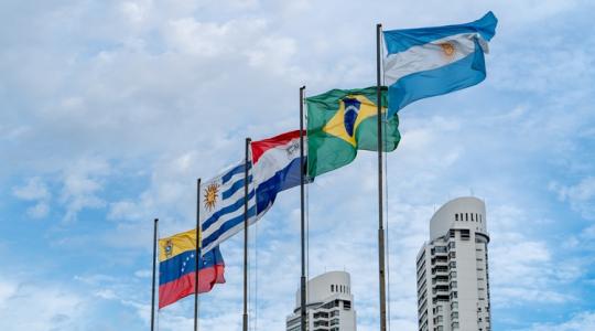 Magyar gazdaszervezetek: a dél-amerikai import vámmentessége tragikus hatású lenne