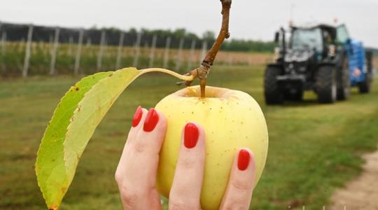 Precíziós technológiák: új almaültetvény és napelempark áll az oktatás szolgálatába