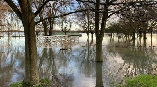 Tragédia: elvitte a juhait az árvíz, de a nehézségek még csak ezzel kezdődtek