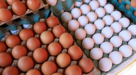 Ukrajnából beözönlő tojások veszélyeztetik az uniós élelmiszerbiztonságot?