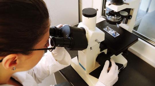 A bakteriális mastitis hatékony kezelésére alkalmas Guide (irányelv) fejlesztése 